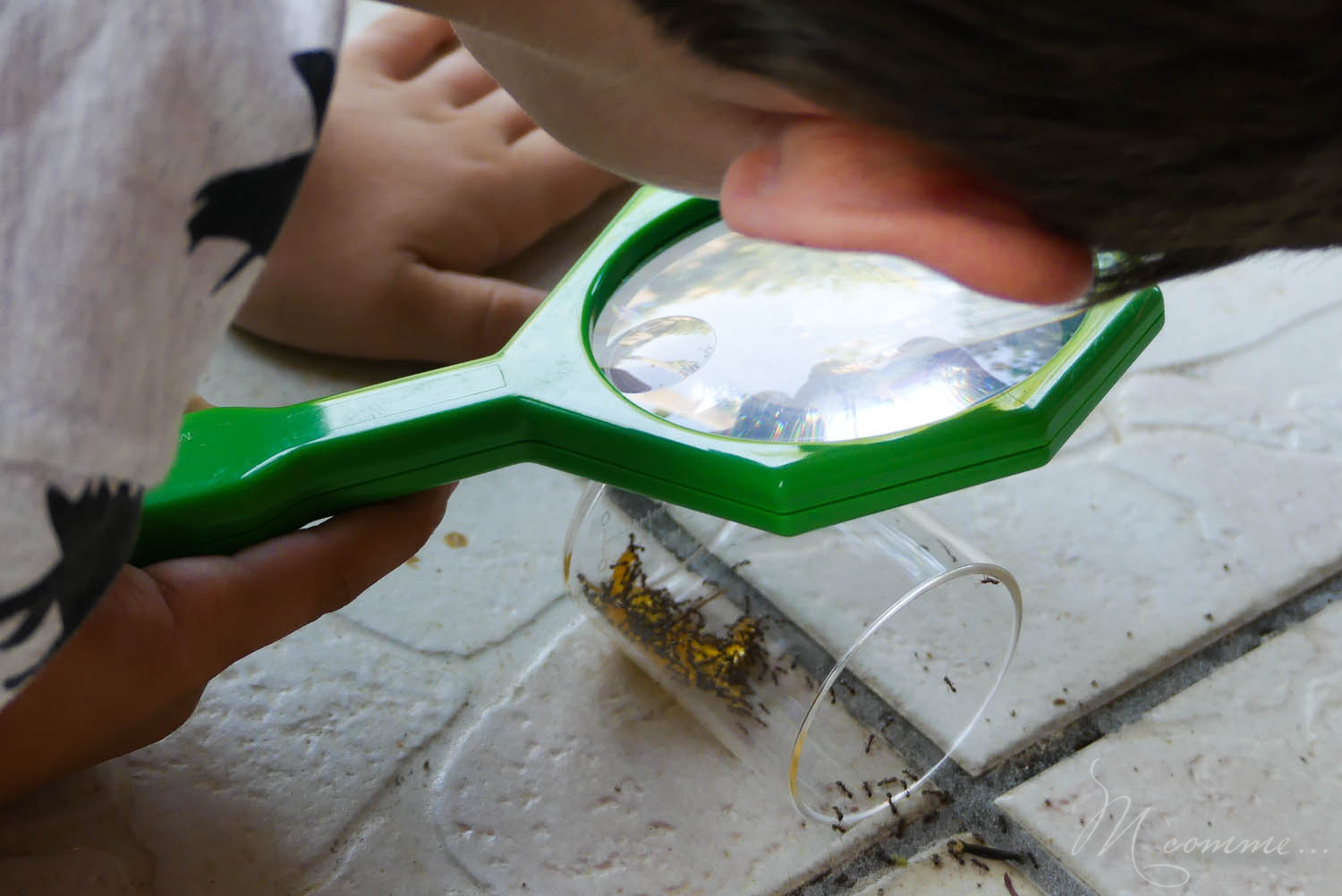 Enfant observant un insecte à l'aide d'une loupe, sous la supervision de l'éducatrice.